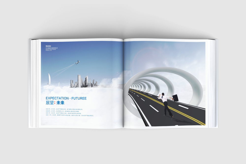 平陆县画册设计